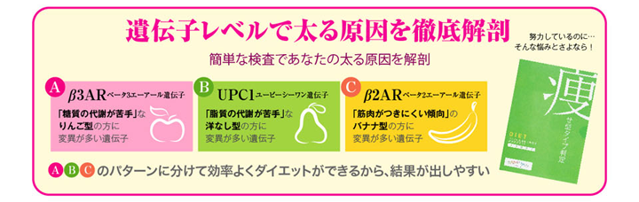 遺伝子レベルで太る原因を徹底解剖